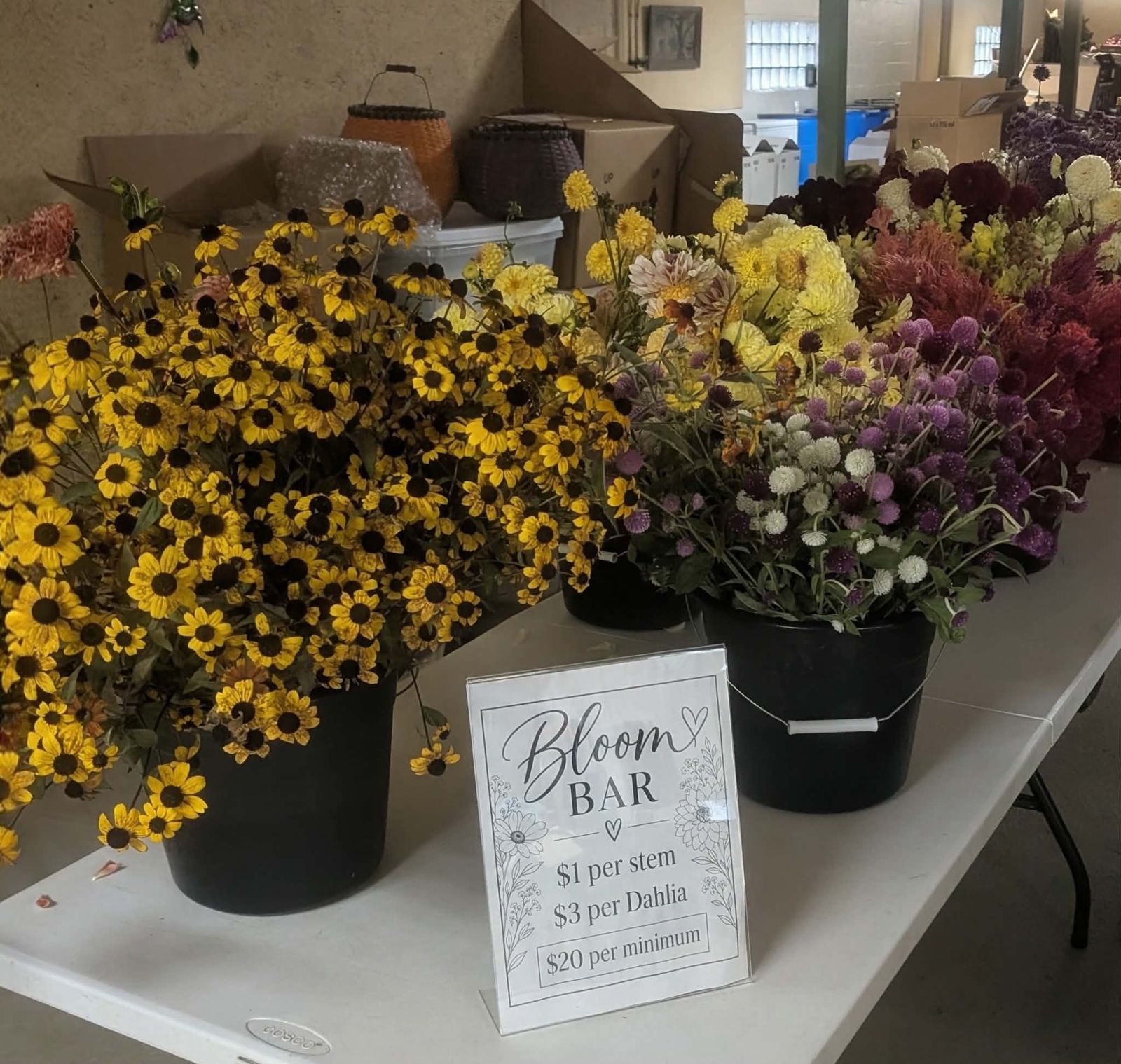 The Bloom Bar sign in front of buckets of black-eyed Susans and globe amaranth